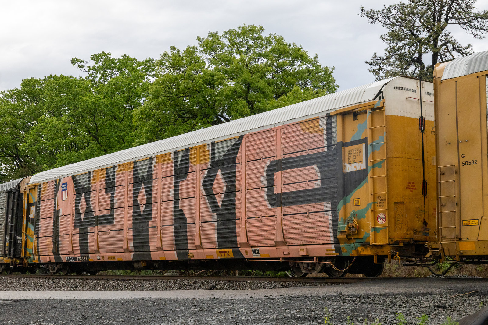TTGX 978352