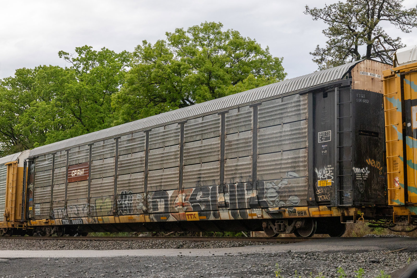 TTGX 991693