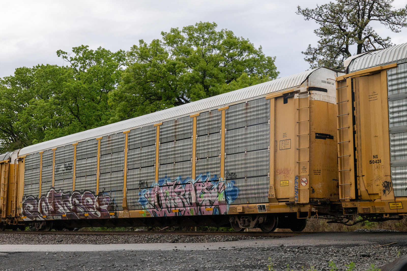 TTGX 159386