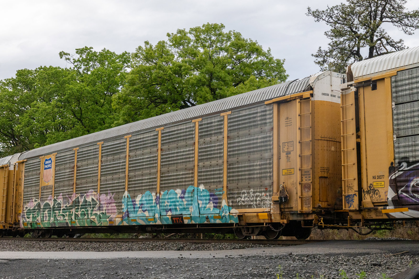 TTGX 986572