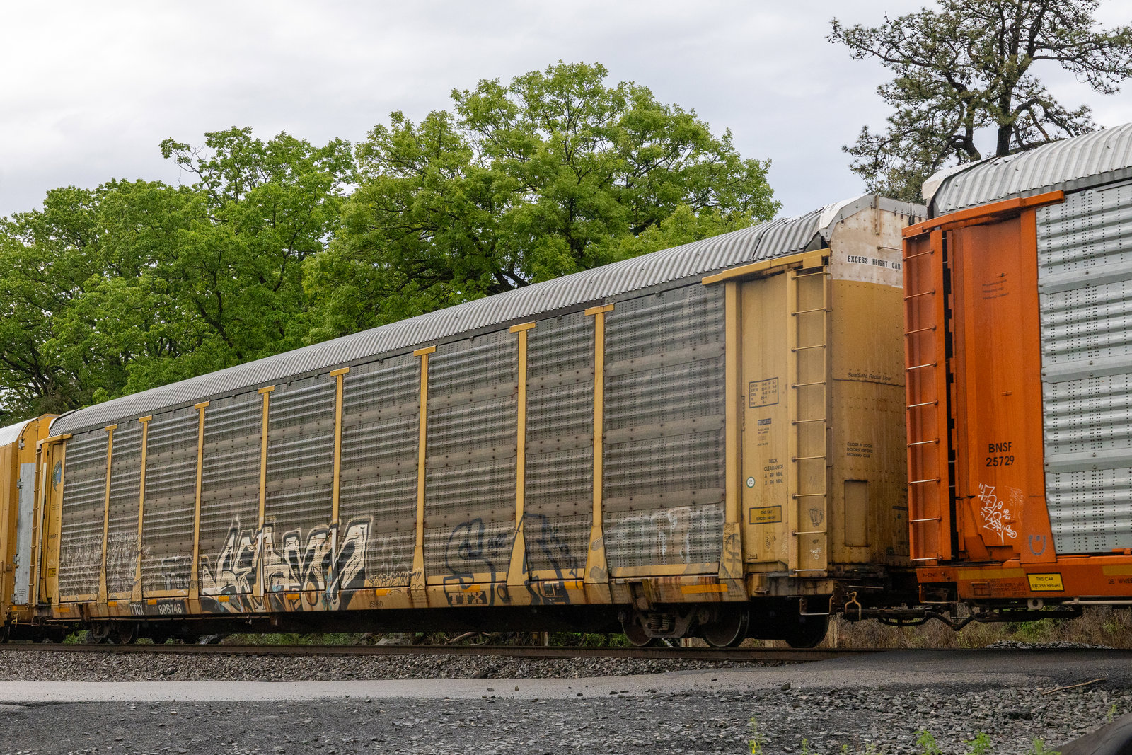 TTGX 986748