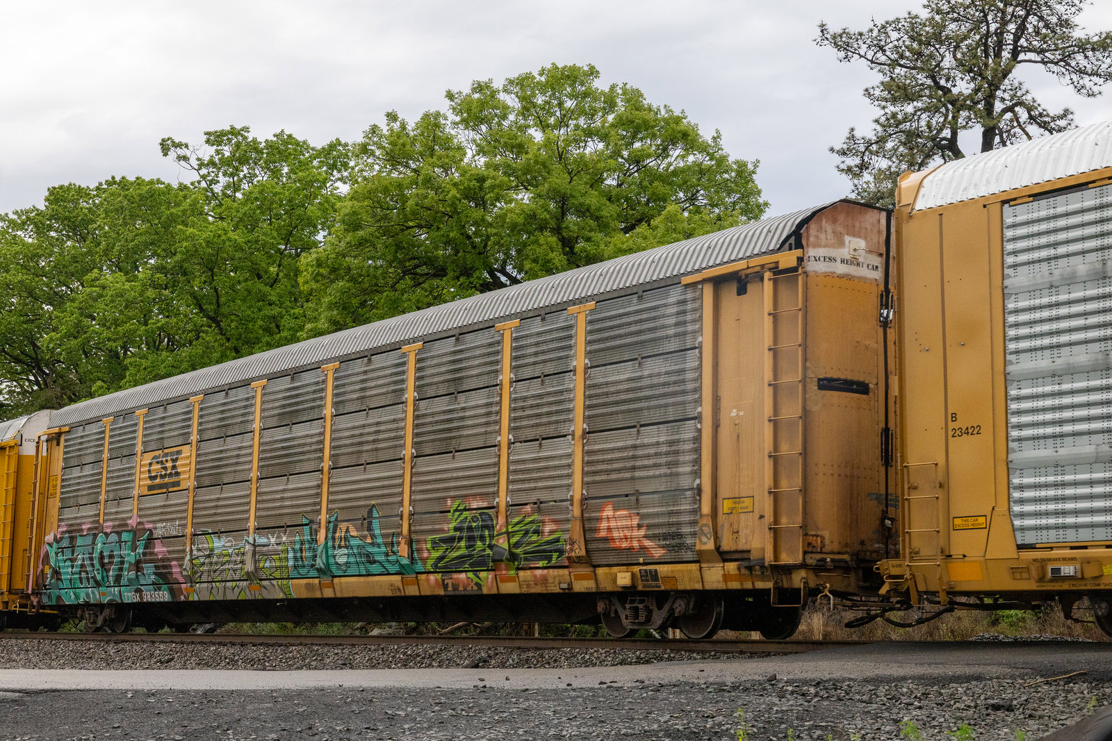 TTGX 983559