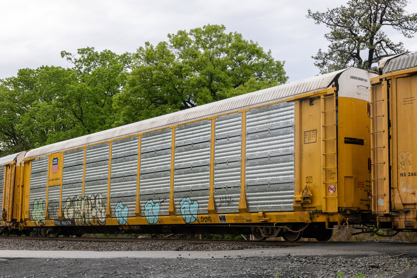 TTGX 992378