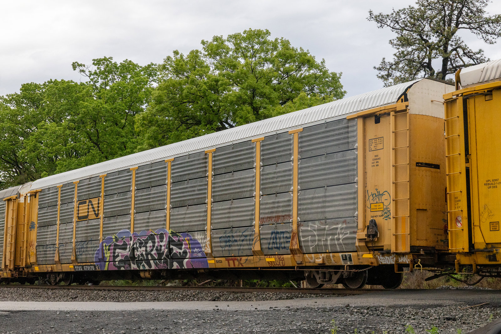 TTGX 979176