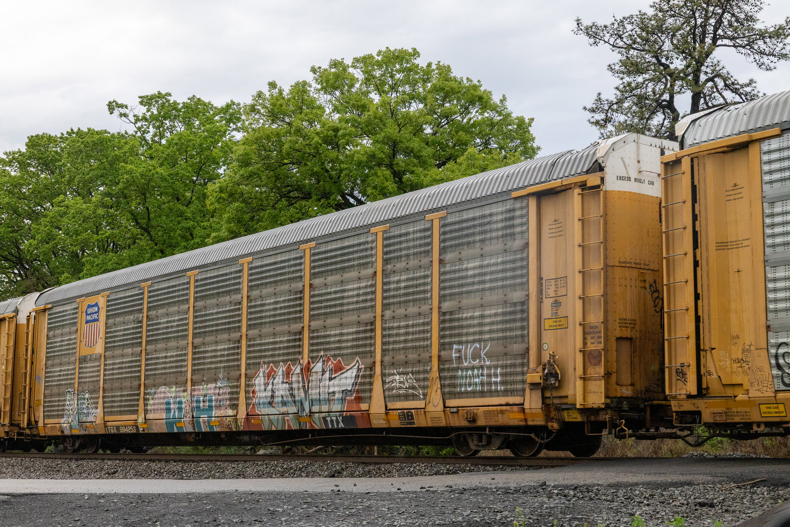 TTGX 994253