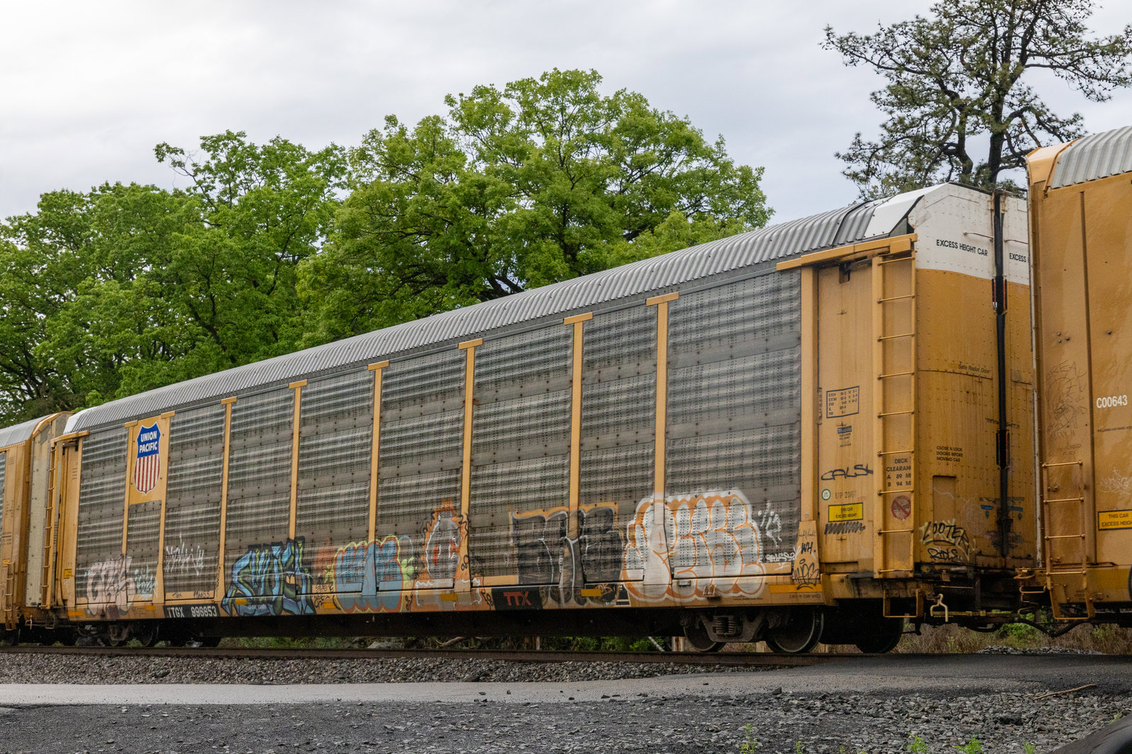 TTGX 996653