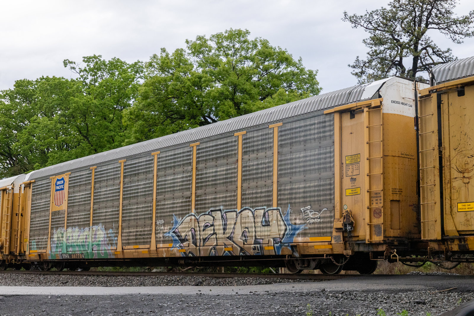 TTGX 987704