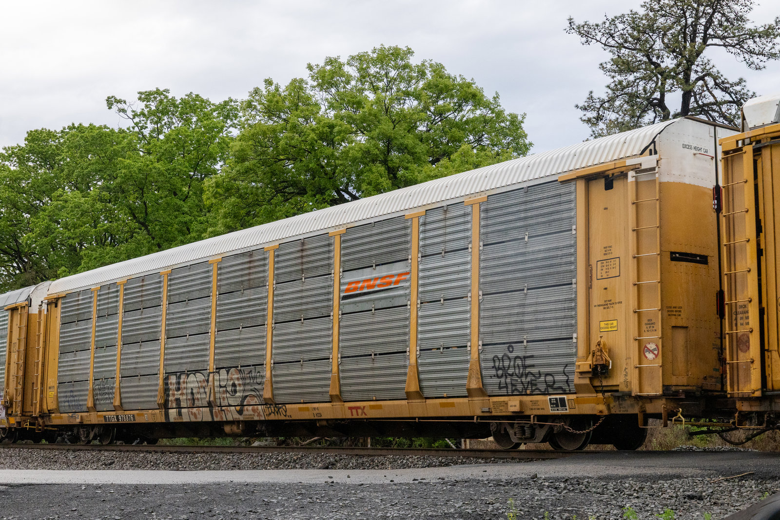 TTGX 978876