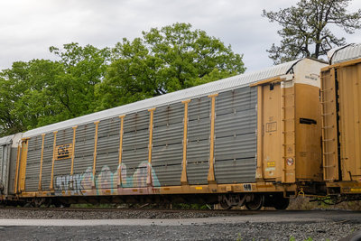 TTGX 964211