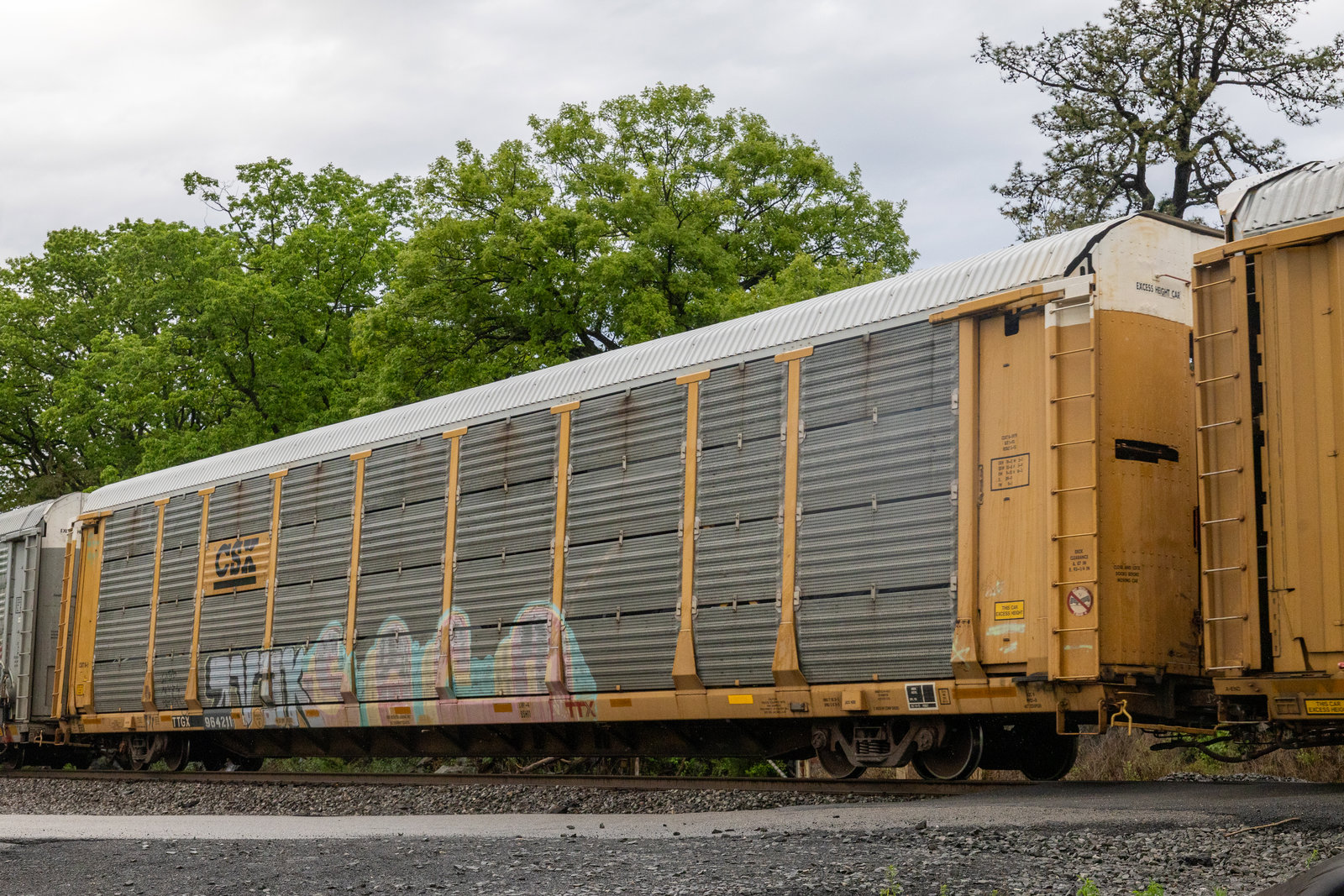 TTGX 964211