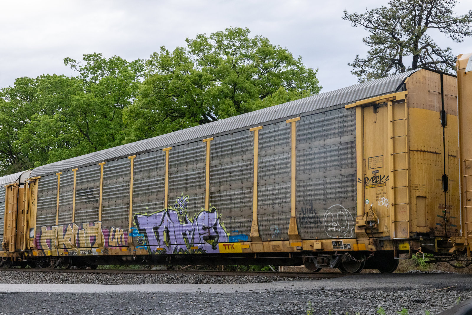 TTGX 983743
