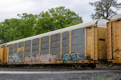 TTGX 964173