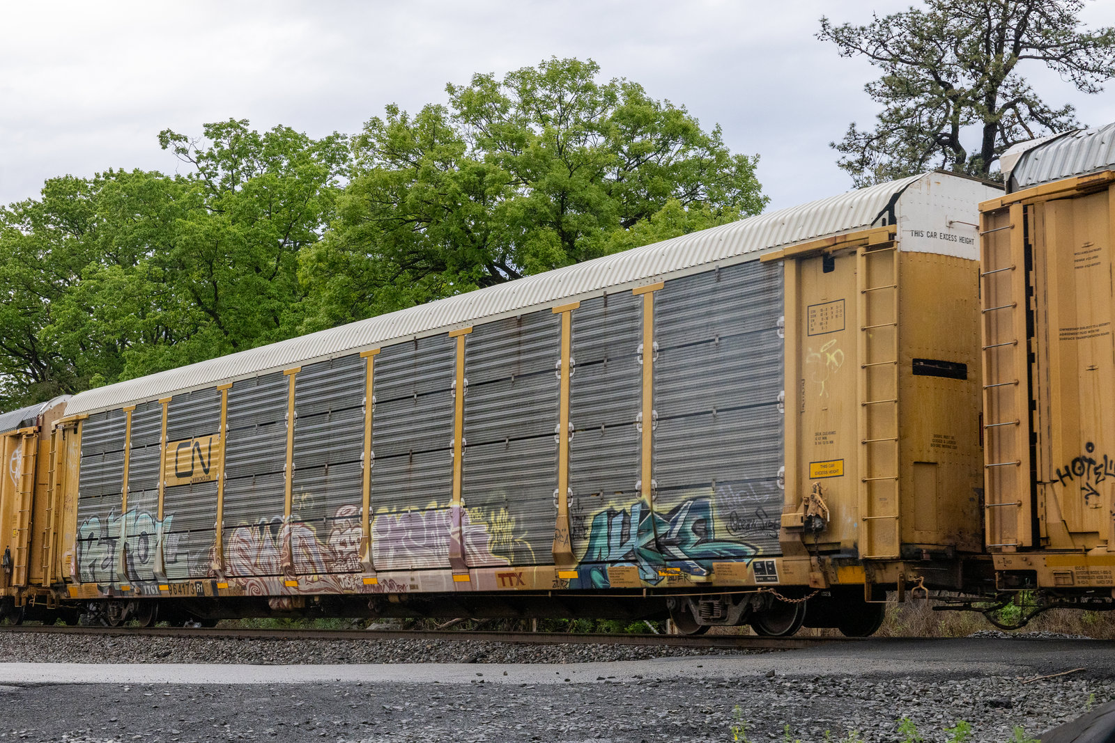 TTGX 964173