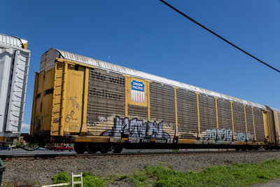 TTGX 975221