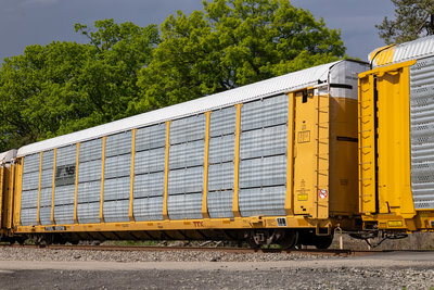 TTGX 255719