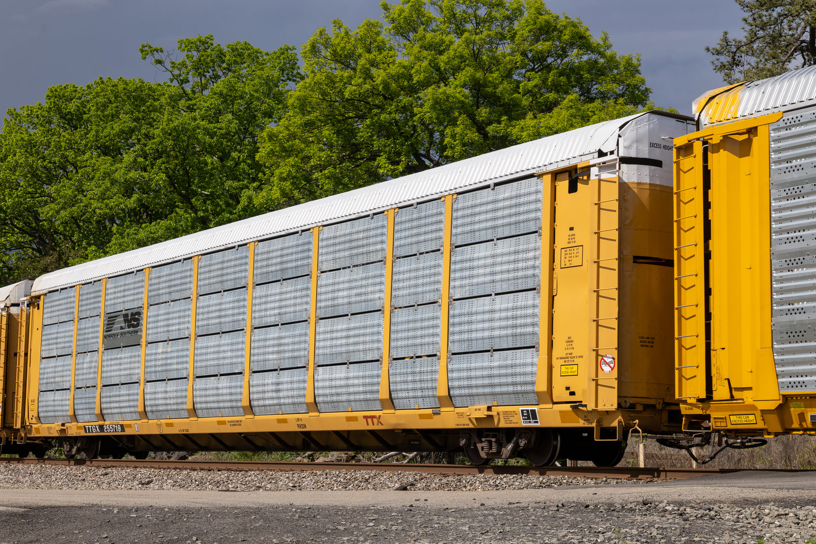 TTGX 255719