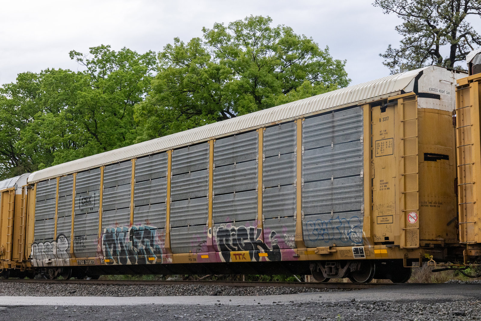 TTGX 255873
