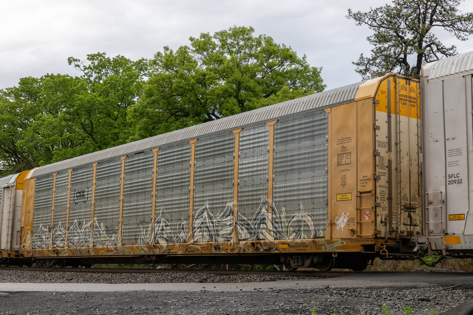 TTGX 716057