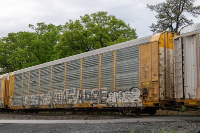 TTGX 716239