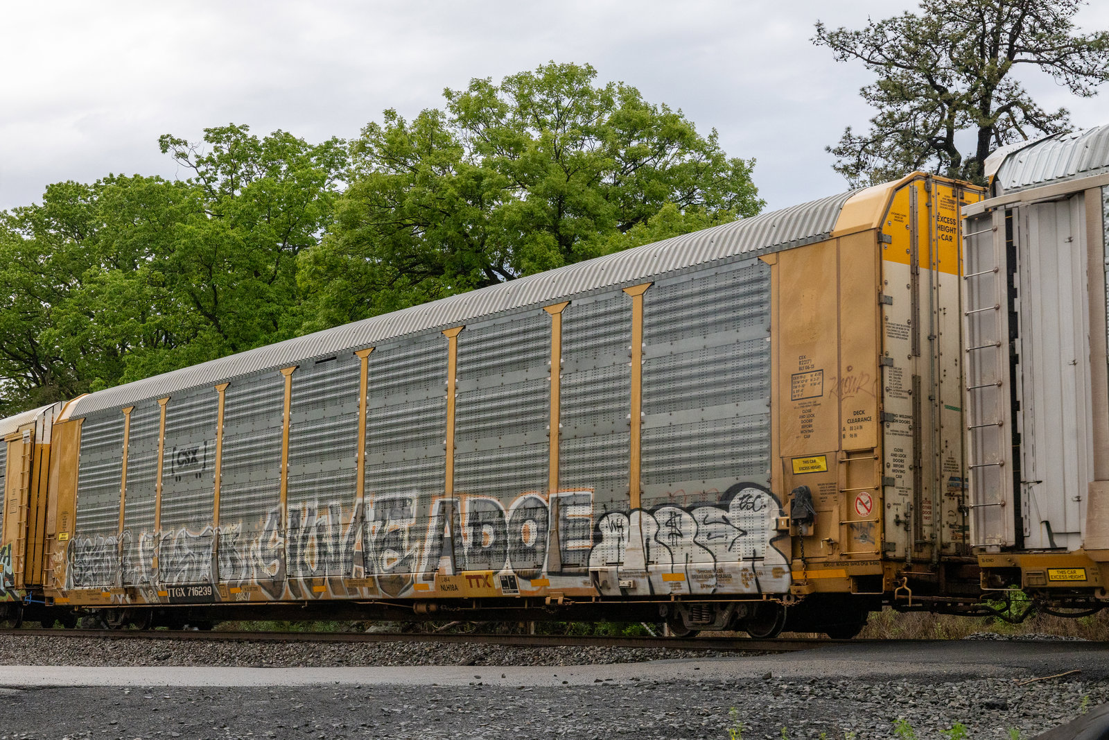 TTGX 716239