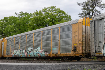 TTGX 716259