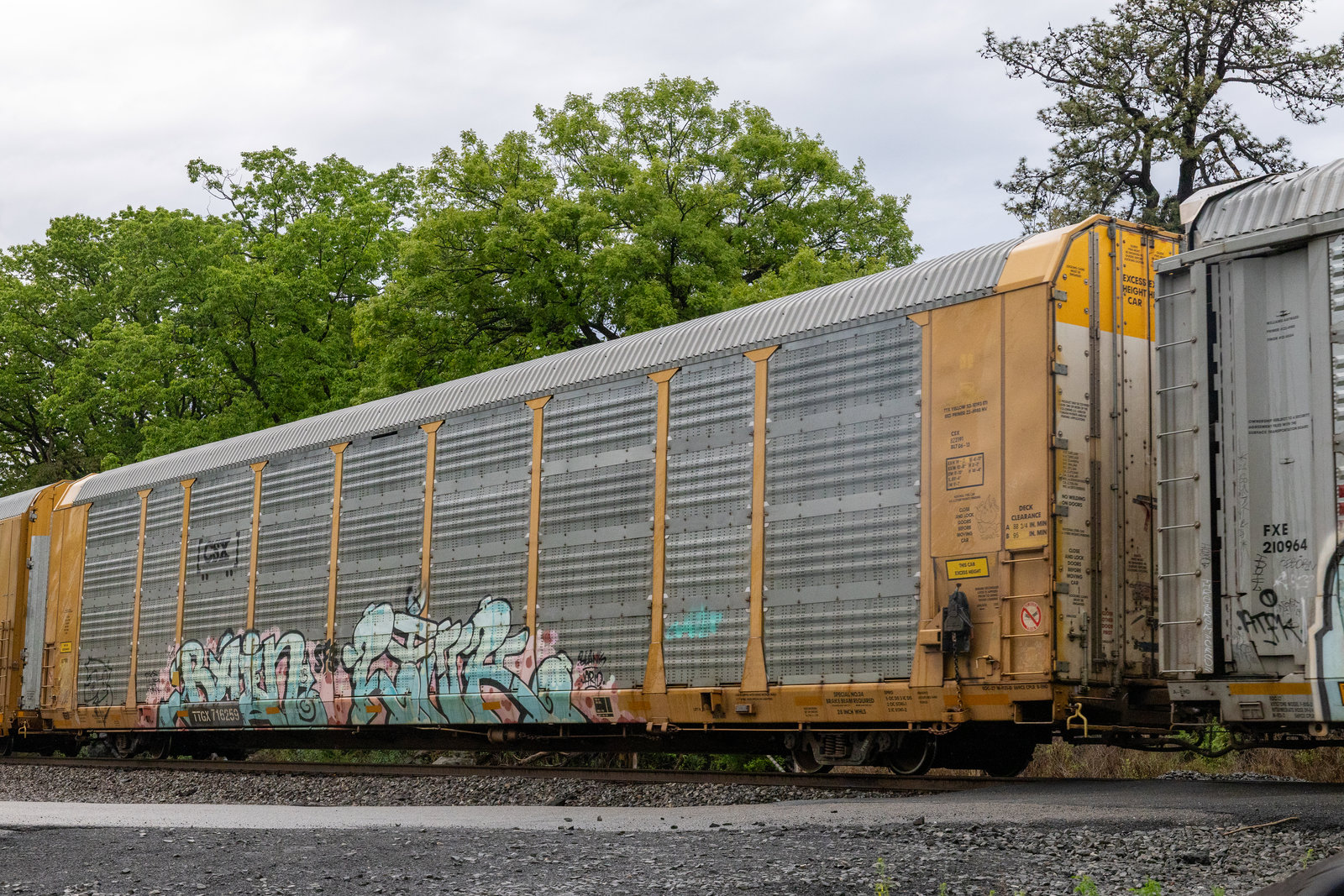 TTGX 716259