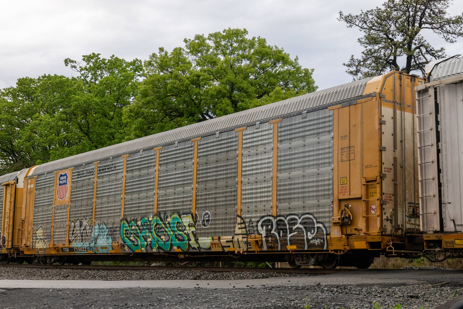 TTGX 715022