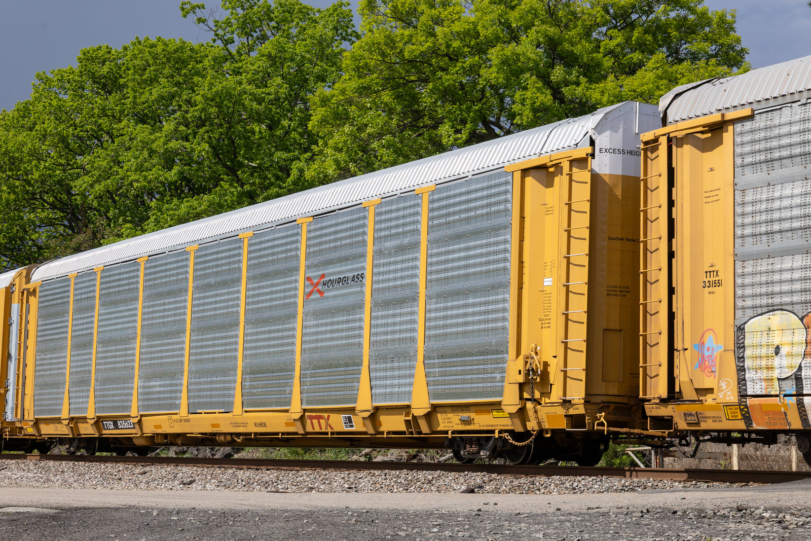 TTGX 835623