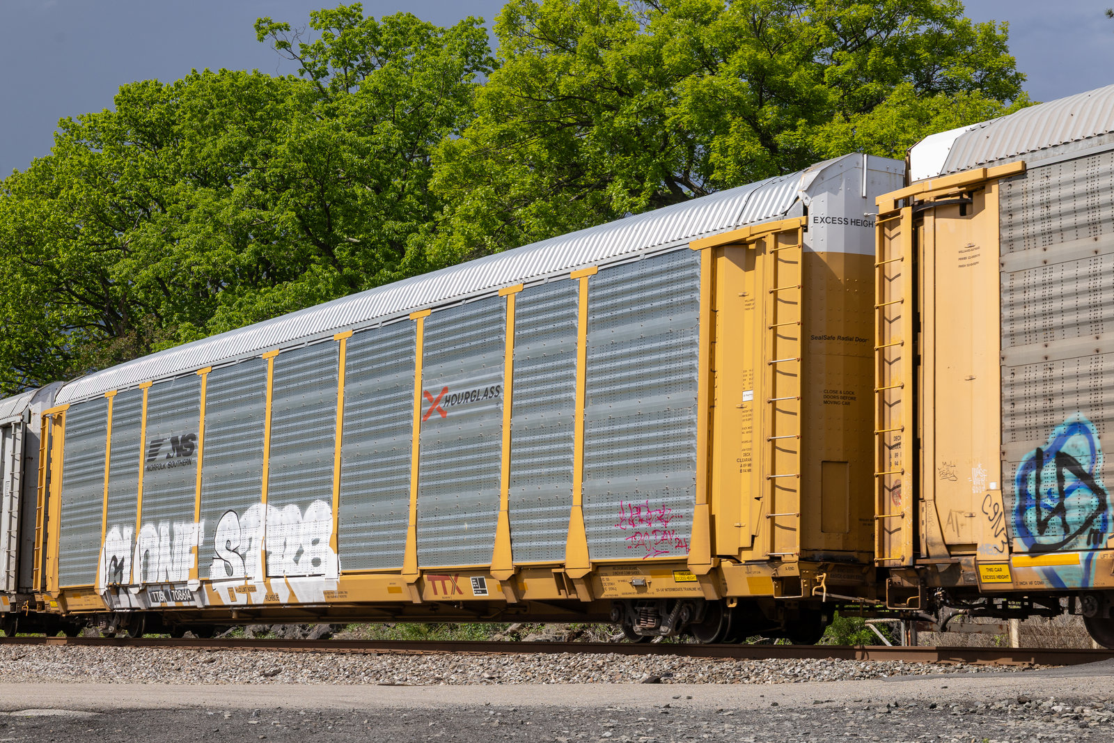 TTGX 708614