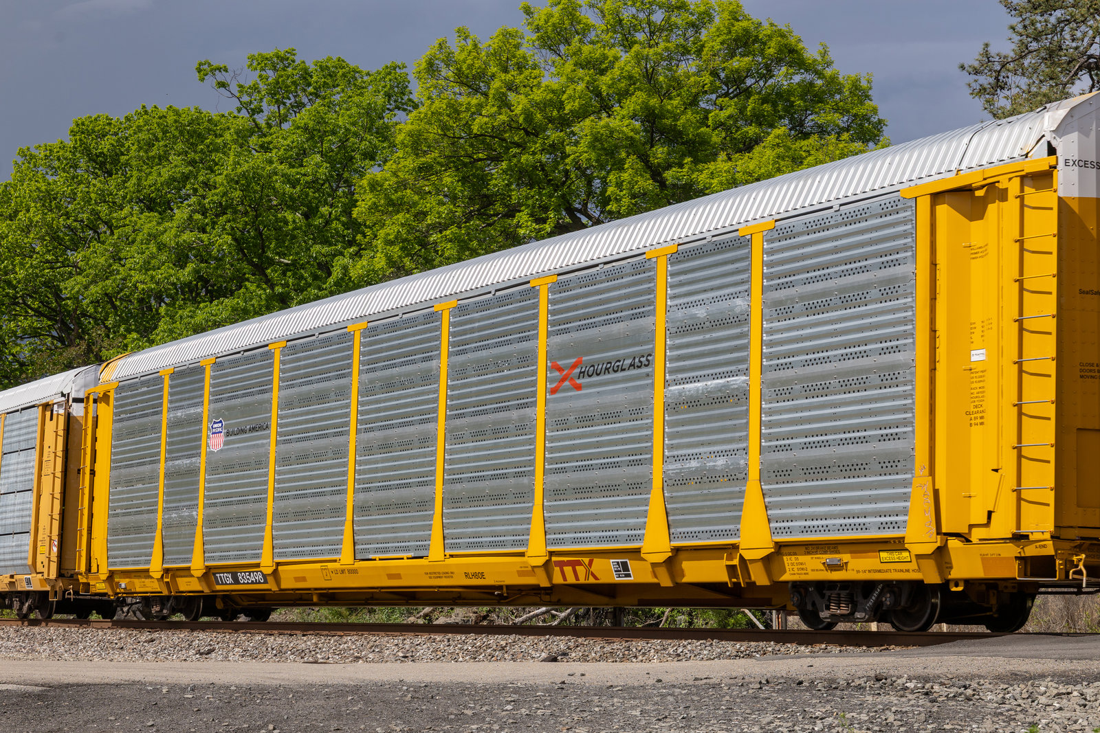 TTGX 835498
