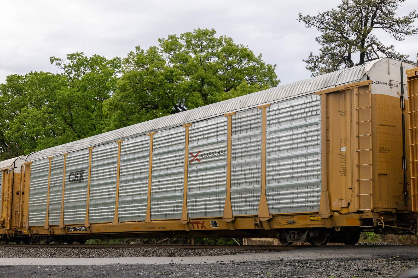TTGX 709380