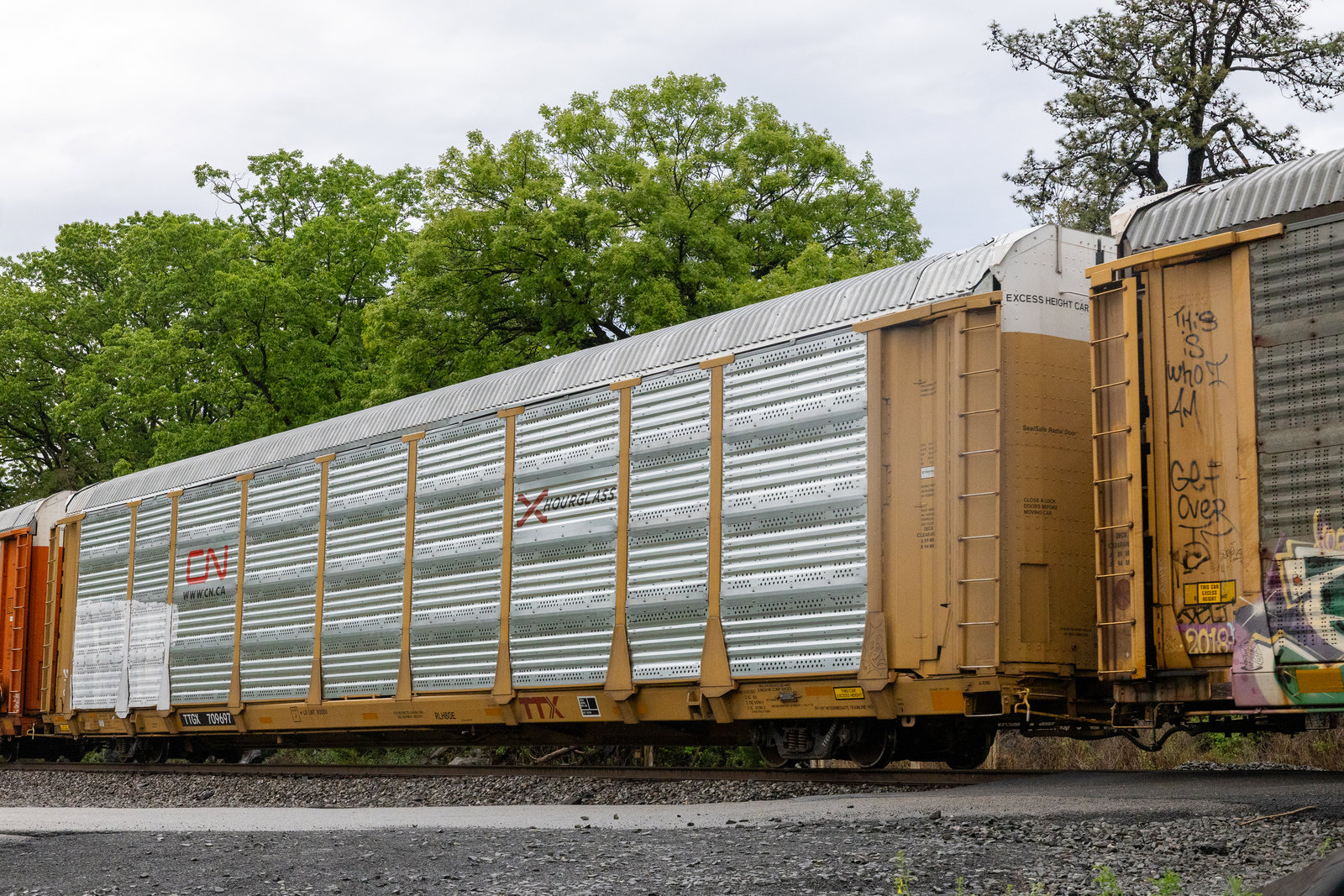 TTGX 709697