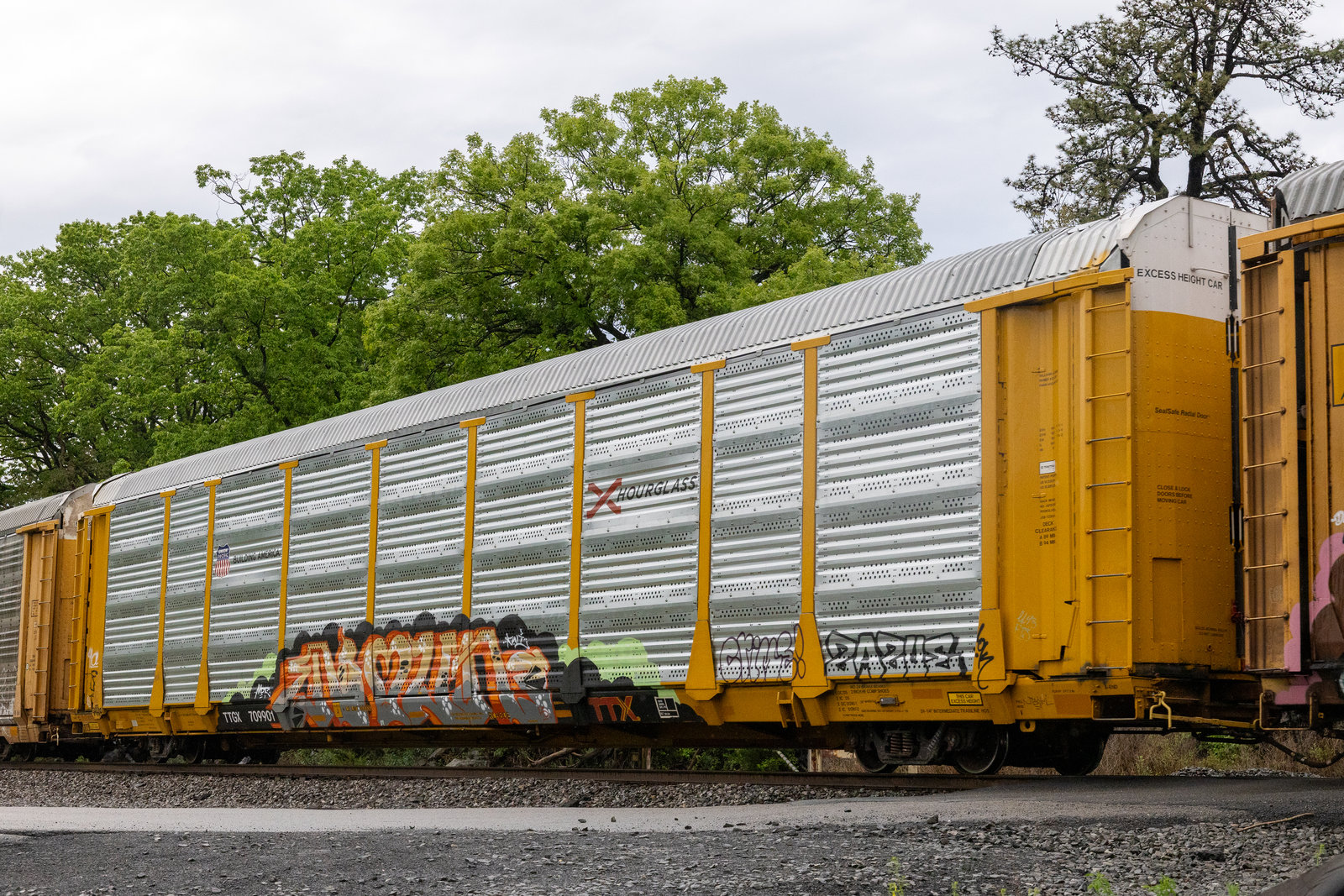 TTGX 709901