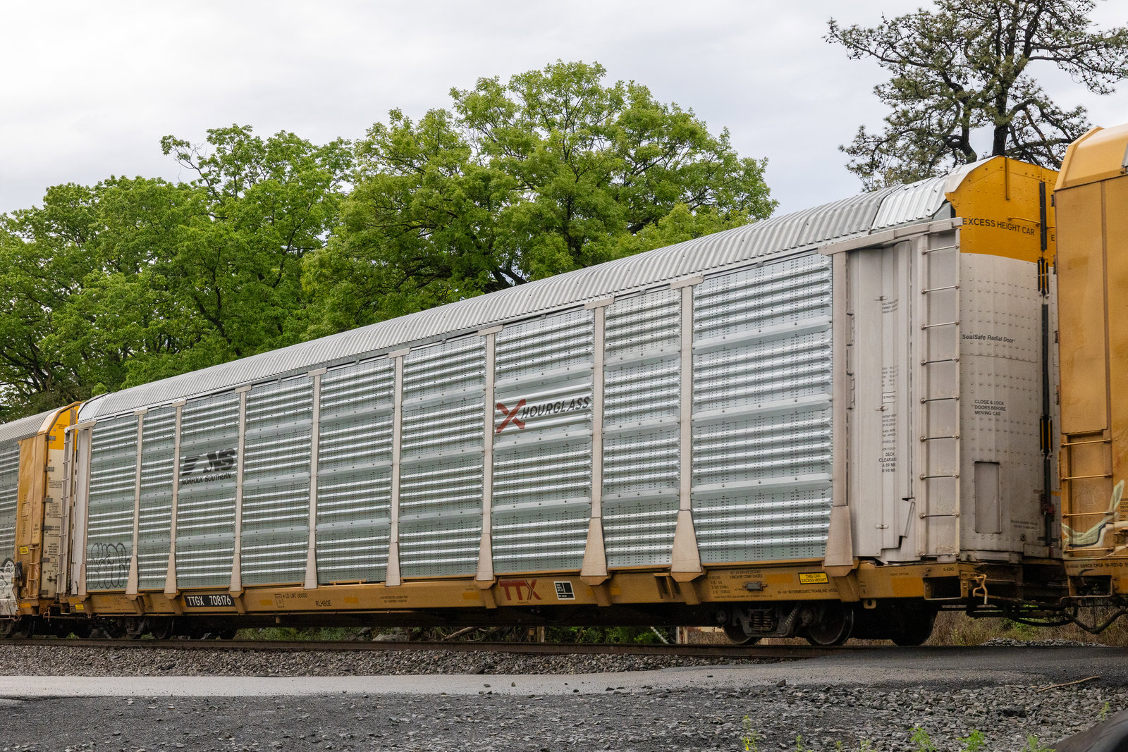 TTGX 708176