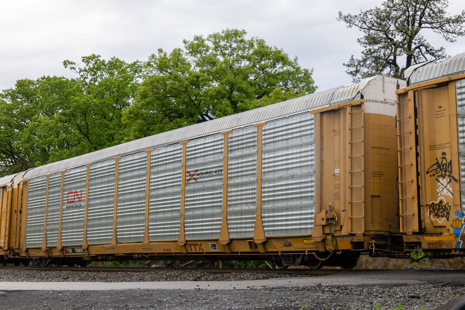 TTGX 708812