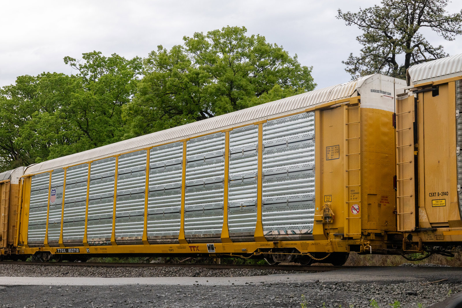 TTGX 853710