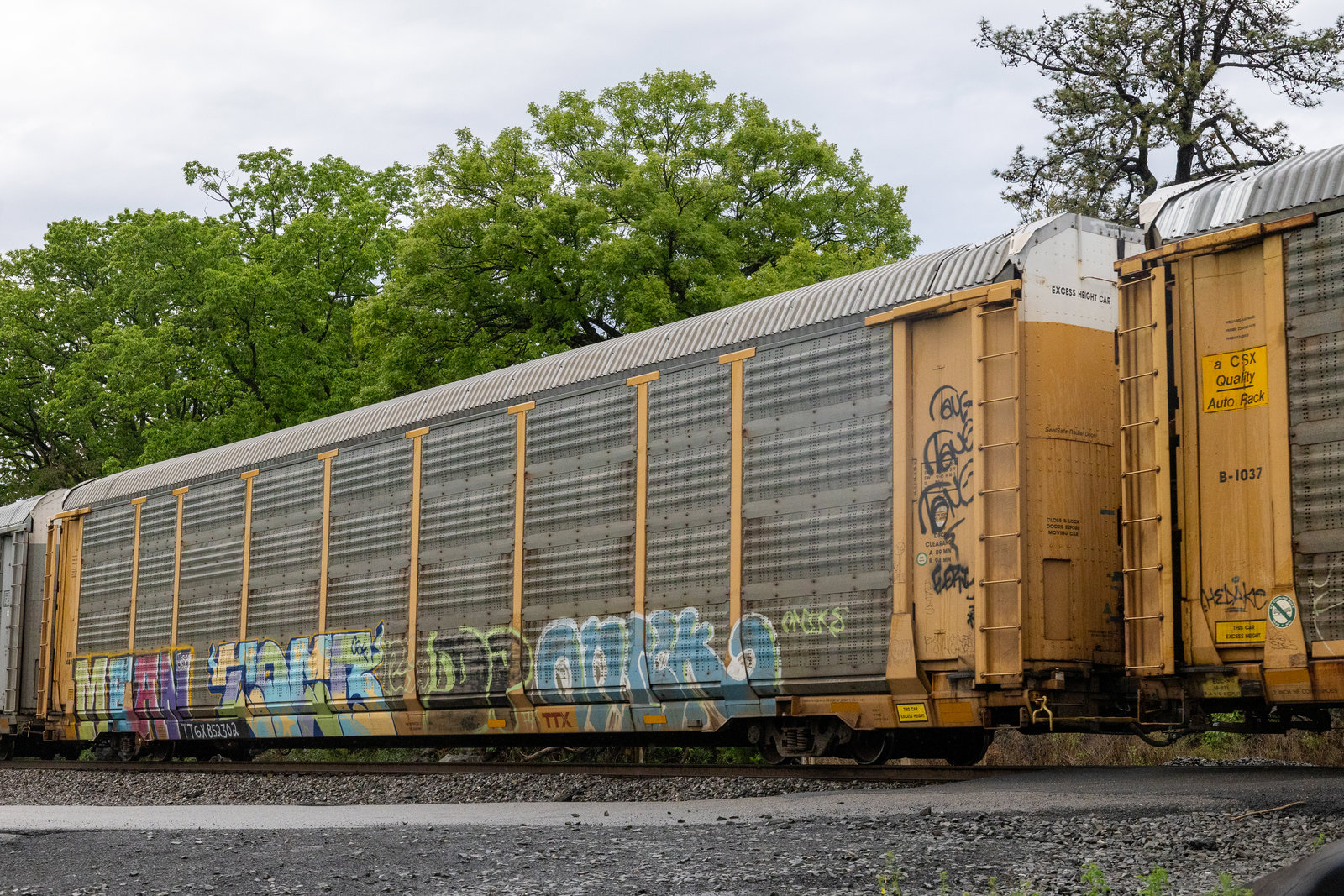 TTGX 852302