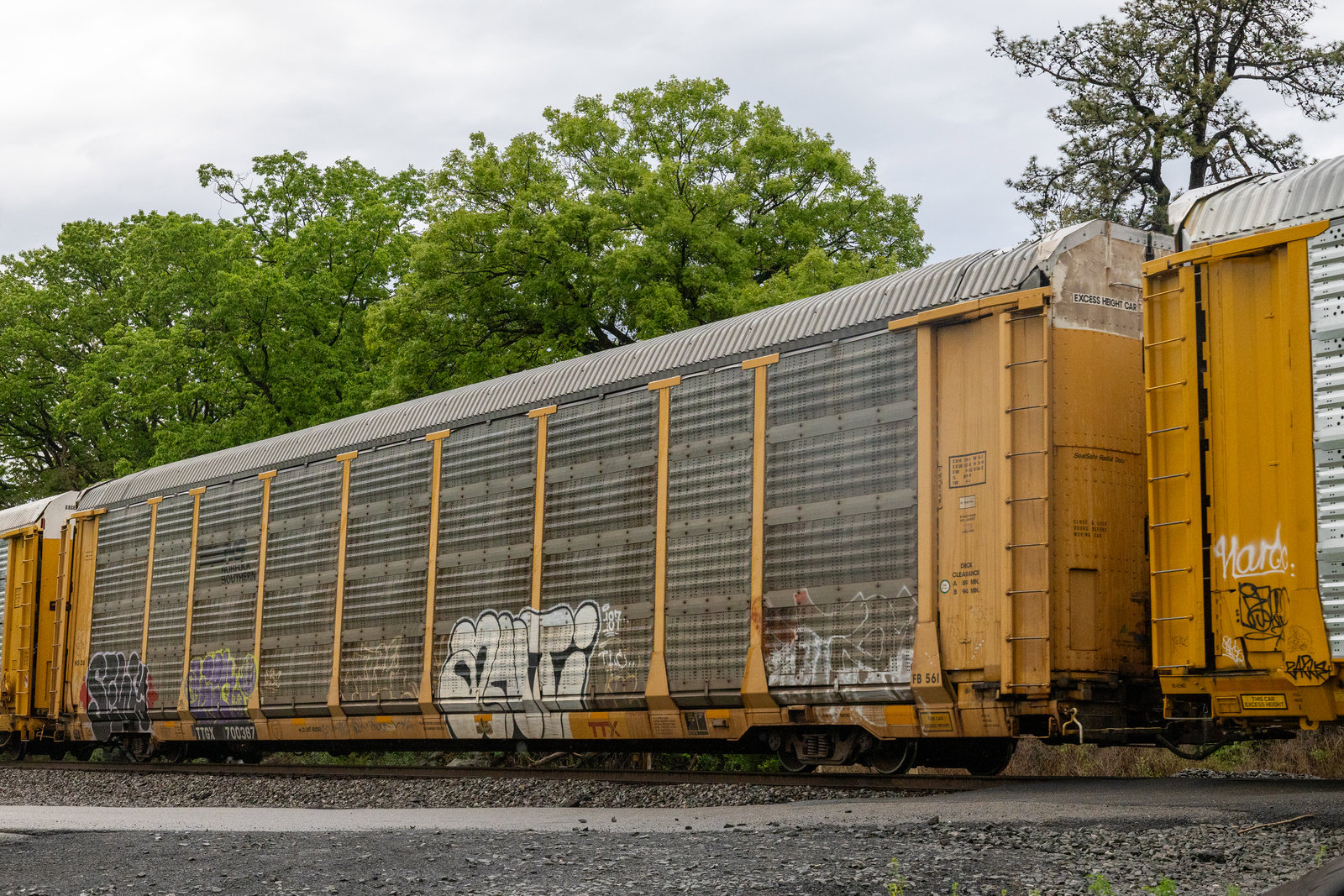 TTGX 700367