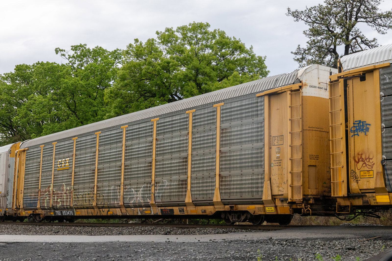 TTGX 853476