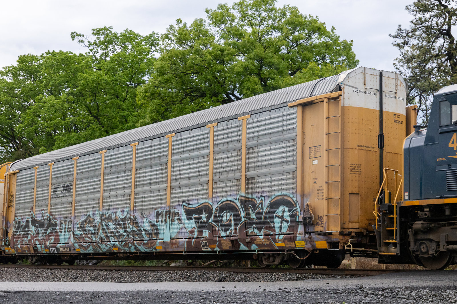 ETTX 703447