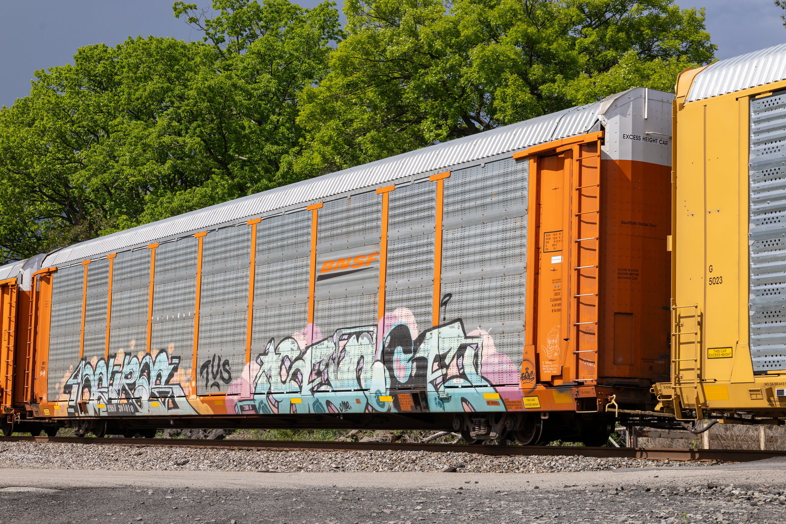 BNSF 301010