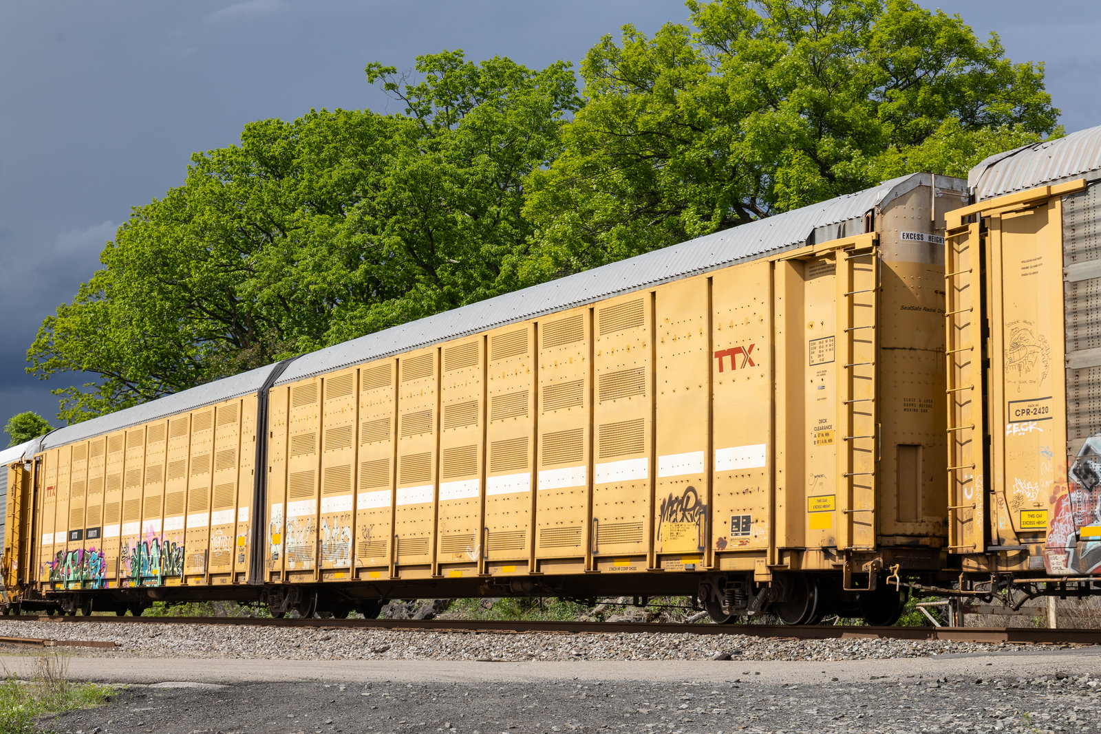 BTTX 880171