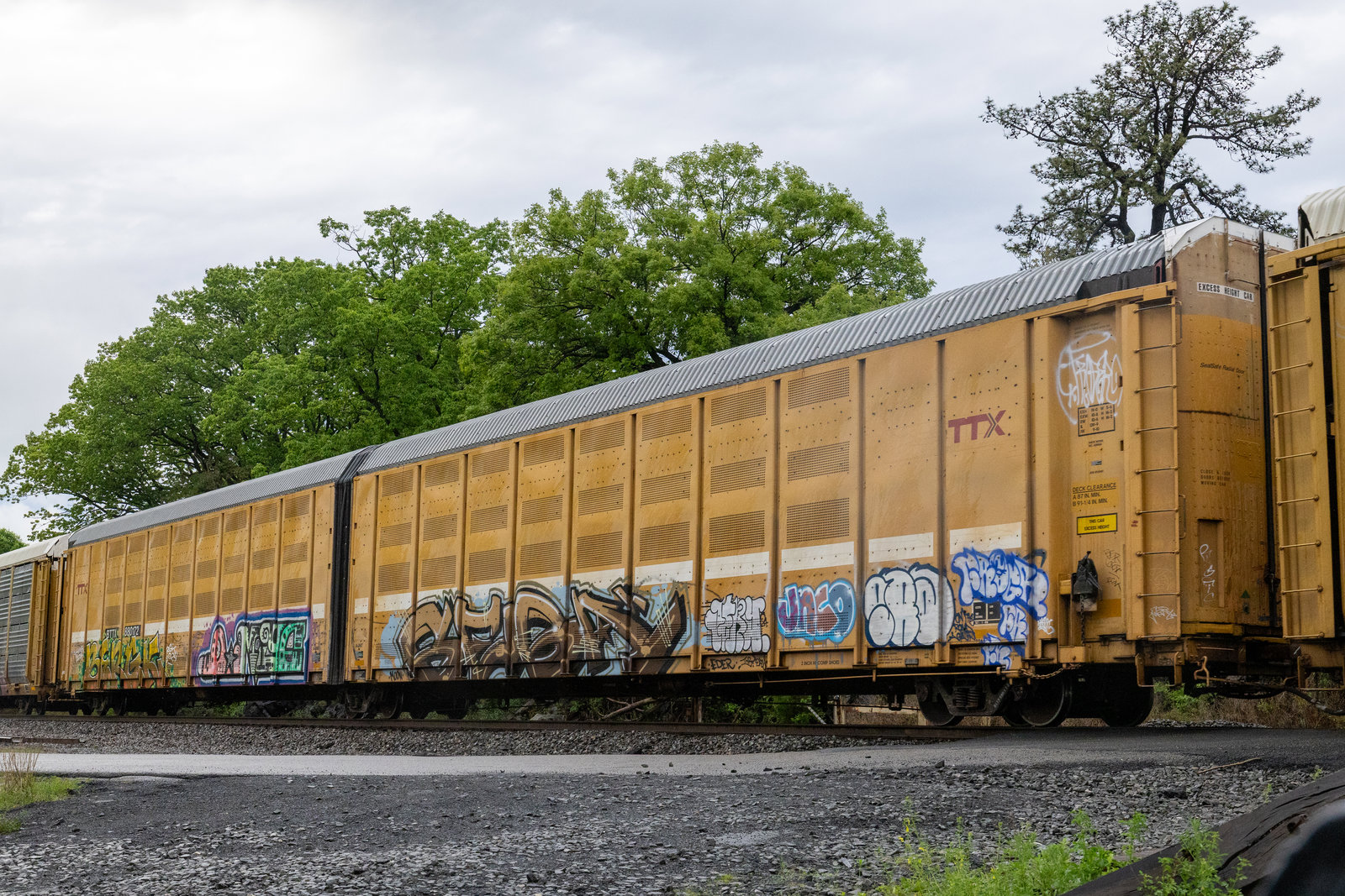 BTTX 880172