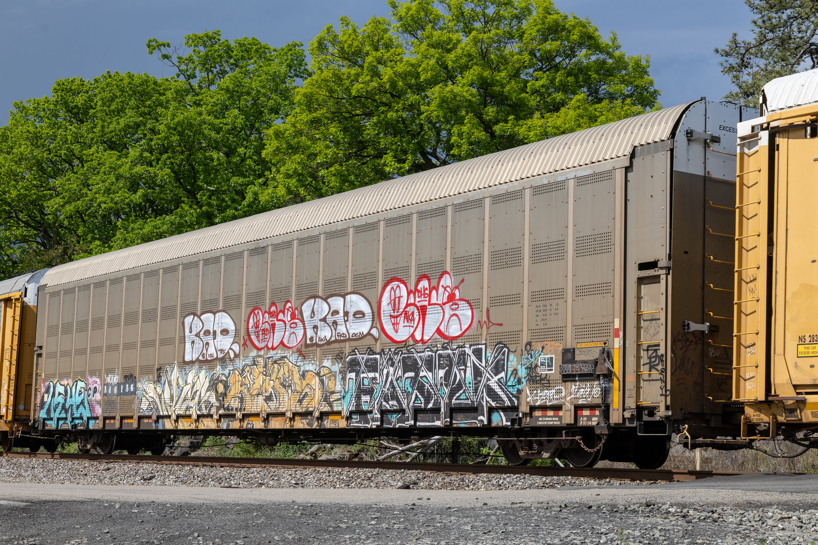 CP 546156