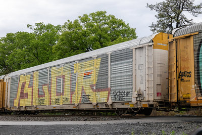 SFLC 300167