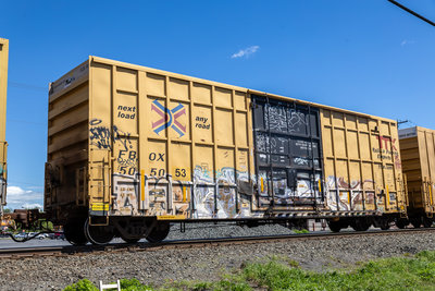 FBOX 505053