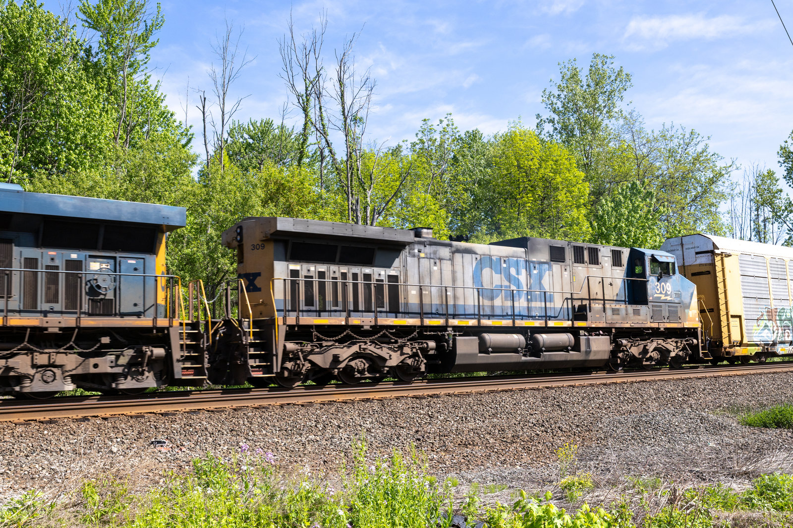 CSXT 309