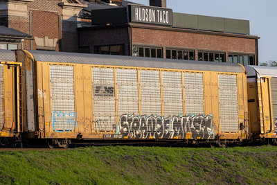 TTGX 691483