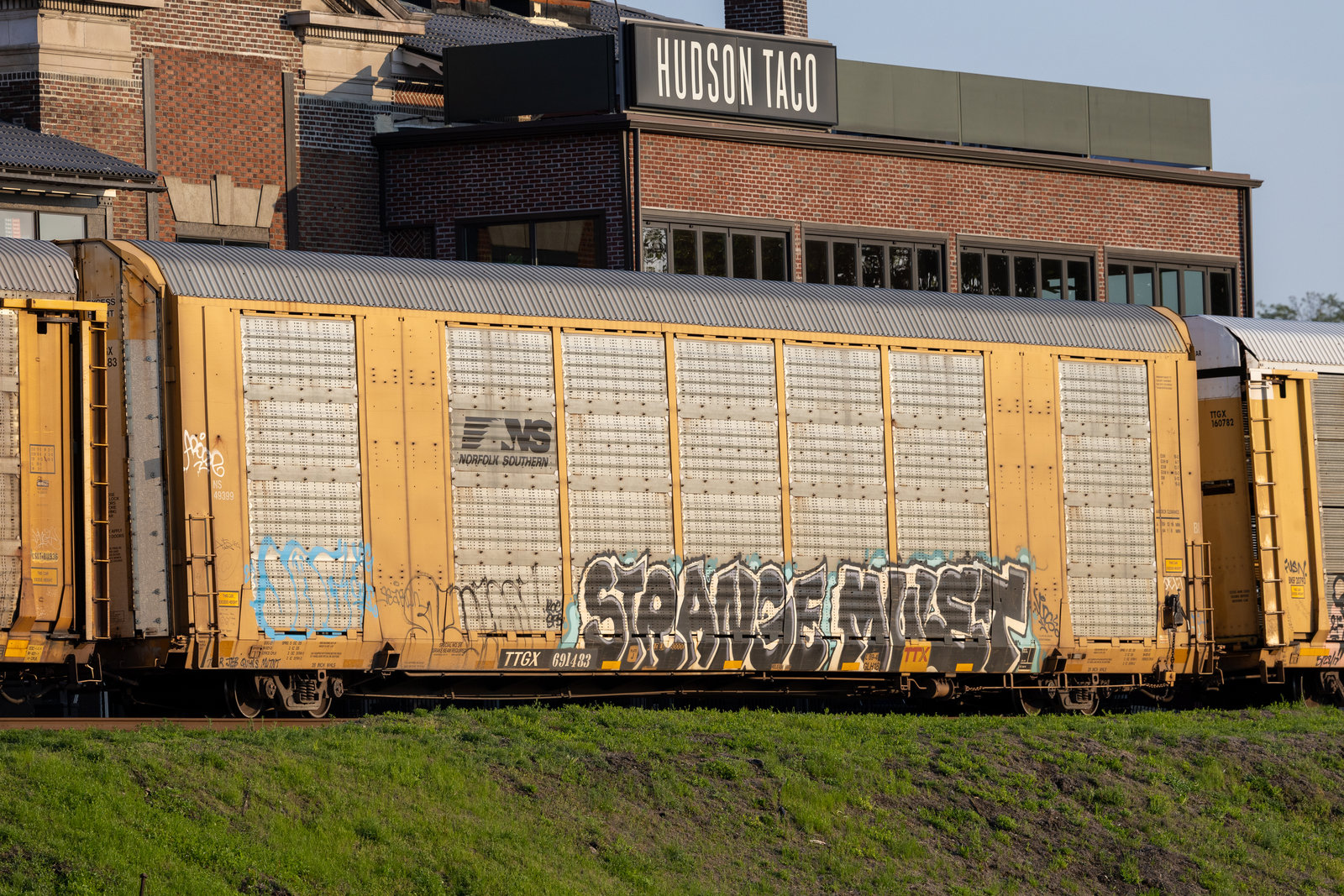 TTGX 691483