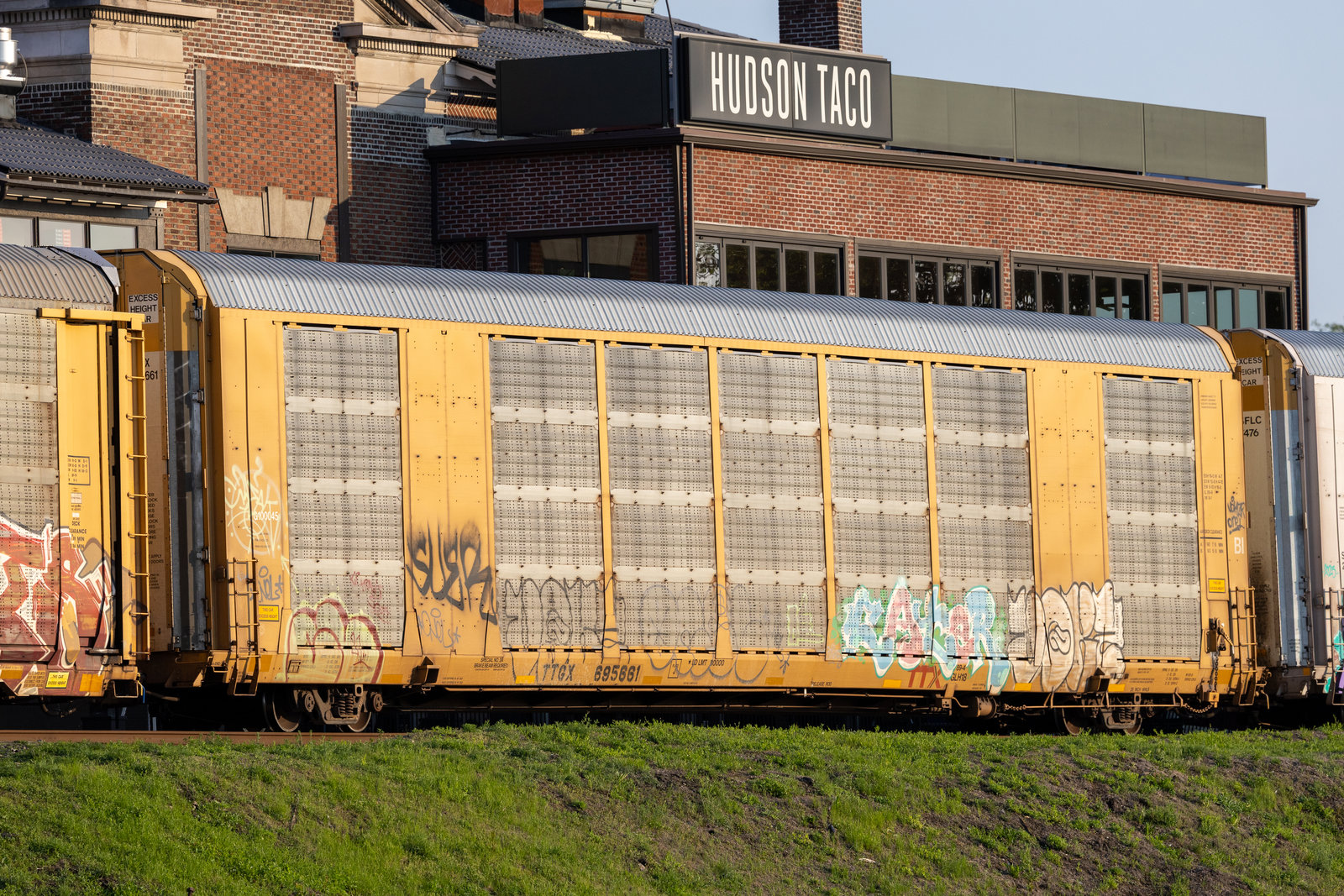 TTGX 695661